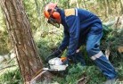 Alice Rivertree-cutting-services-21.jpg; ?>